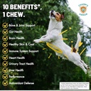 dog-multivitamin-10-in-1-with-glucosamin-2.jpg