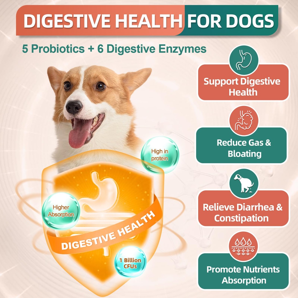drfoster-dog-multivitamin-supplements-ch-6.jpg
