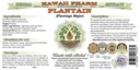 hawaii-pharm-plantain-alcohol-free-liqui-2.jpg