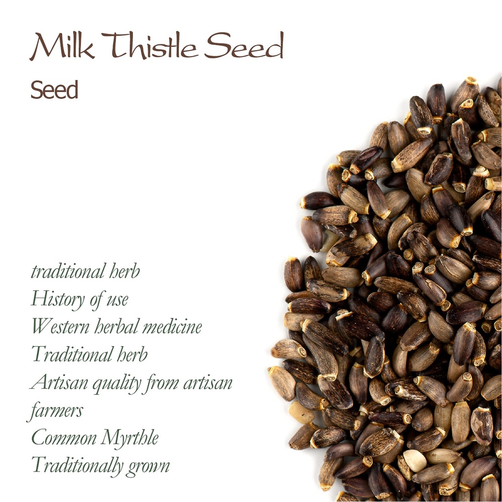 milk-thistle-seeds-whole-dried-herb-trad-6.jpg