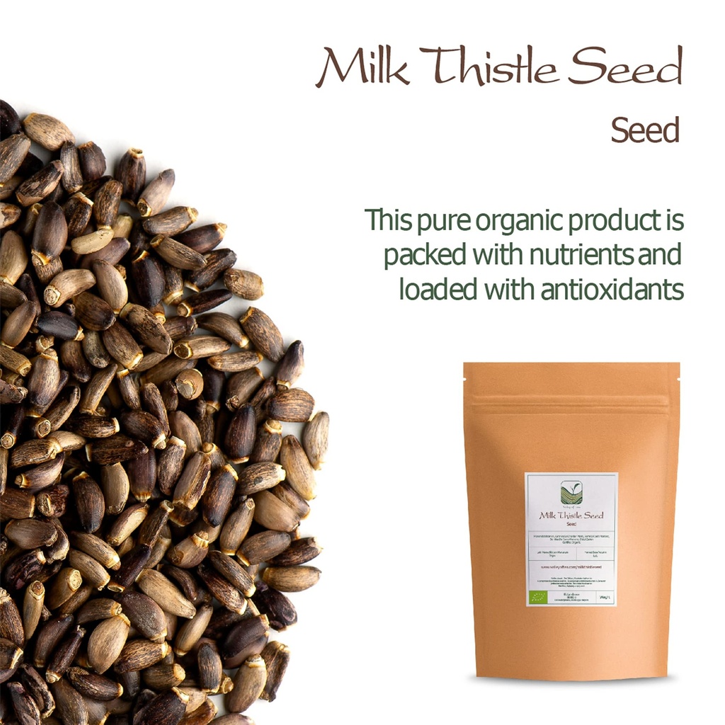 milk-thistle-seeds-whole-dried-herb-trad-3.jpg