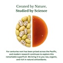 hawaiian-noni-juice-by-healing-noni-raw--5.jpg