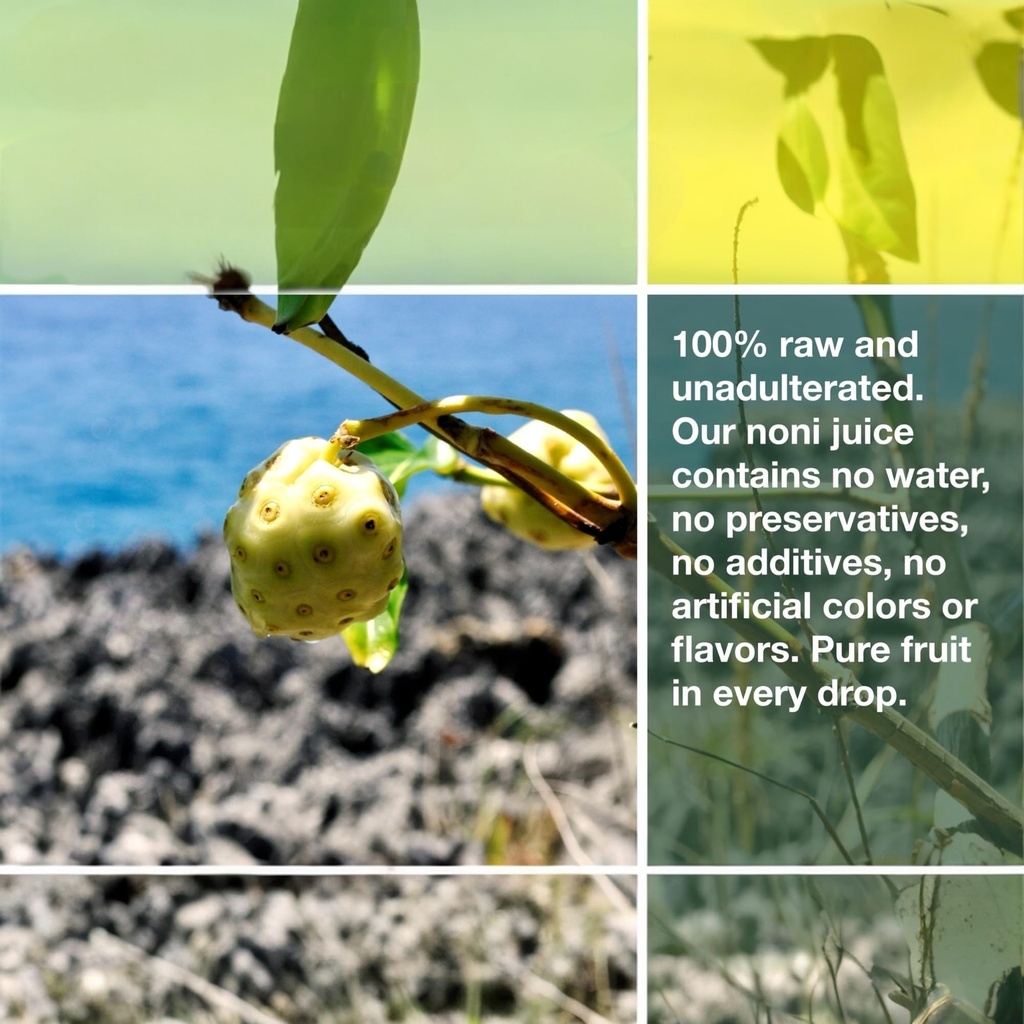 frutos-pachamama-noni-juice-organic-100--4.jpg