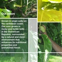 frutos-pachamama-noni-juice-organic-100--3.jpg