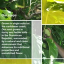 frutos-pachamama-organic-noni-juice-100--3.jpg