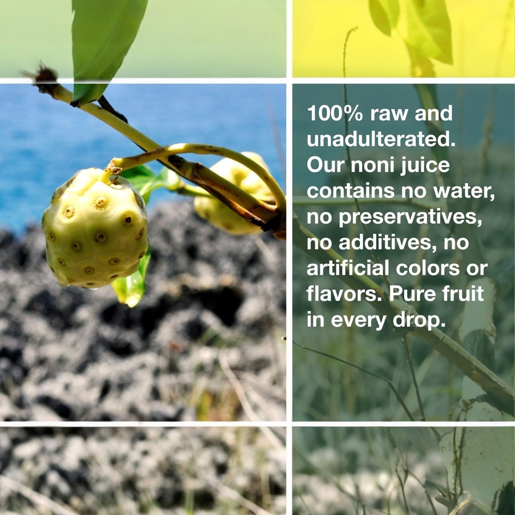 frutos-pachamama-organic-noni-juice-100--4.jpg