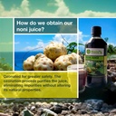 frutos-pachamama-organic-noni-juice-100--2.jpg