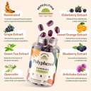 polyphenol-gummies-plant-based-formula-w-3.jpg