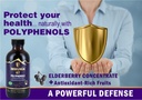 67-polyphenols-elderberry-concentrate-an-5.jpg