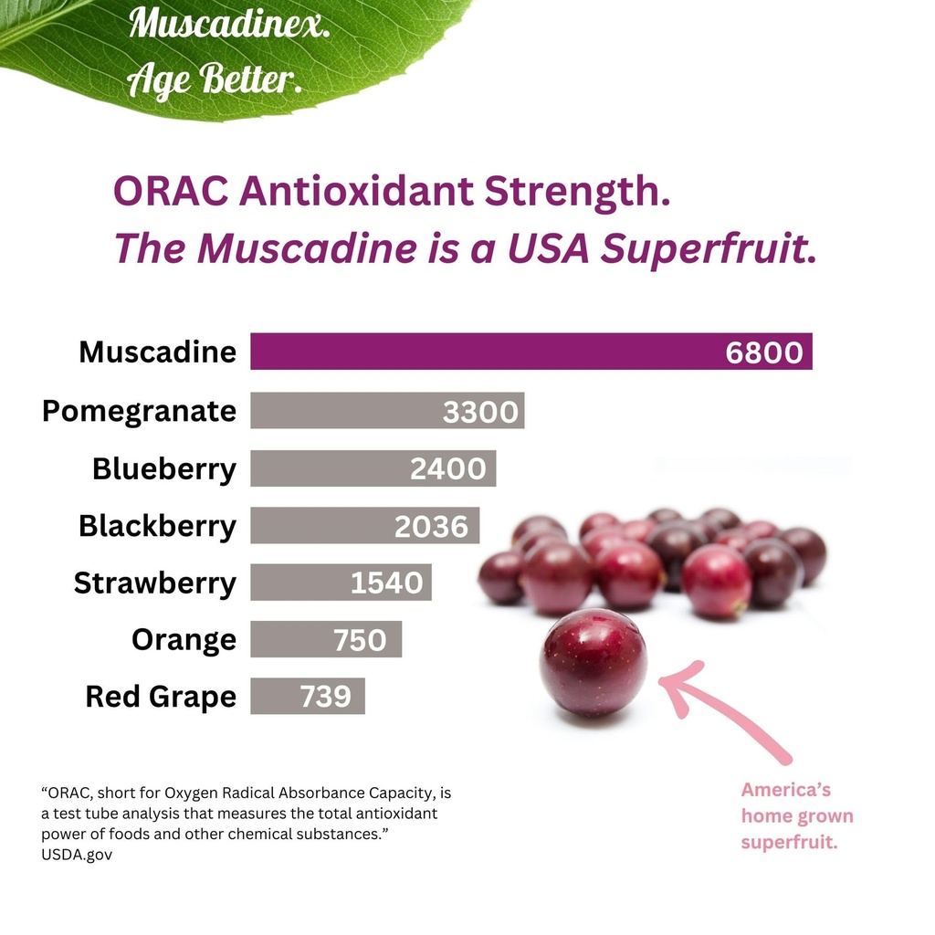 whole-muscadine-supplement-polyphenol-ri-3.jpg