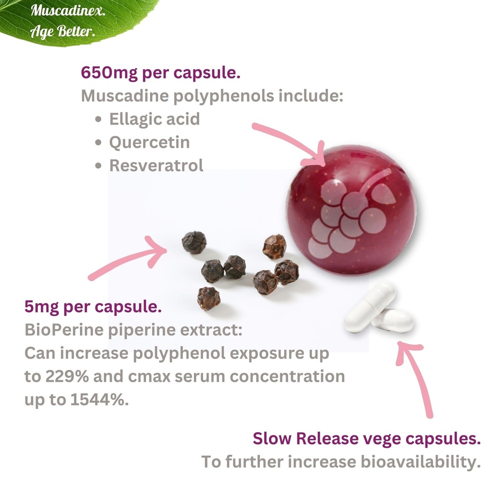 whole-muscadine-supplement-polyphenol-ri-4.jpg