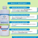 brainchild-nutritionals-spectrum-support-3.jpg