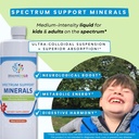 brainchild-nutritionals-spectrum-support-2.jpg
