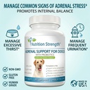 adrenal-support-for-dogs-with-cushing-s--2.jpg
