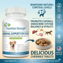 adrenal-support-for-dogs-with-cushing-s--5.jpg