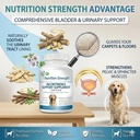 dog-incontinence-support-for-organic-bla-4.jpg