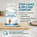 dog-incontinence-support-for-organic-bla-6.jpg