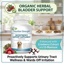dog-incontinence-support-for-organic-bla-5.jpg