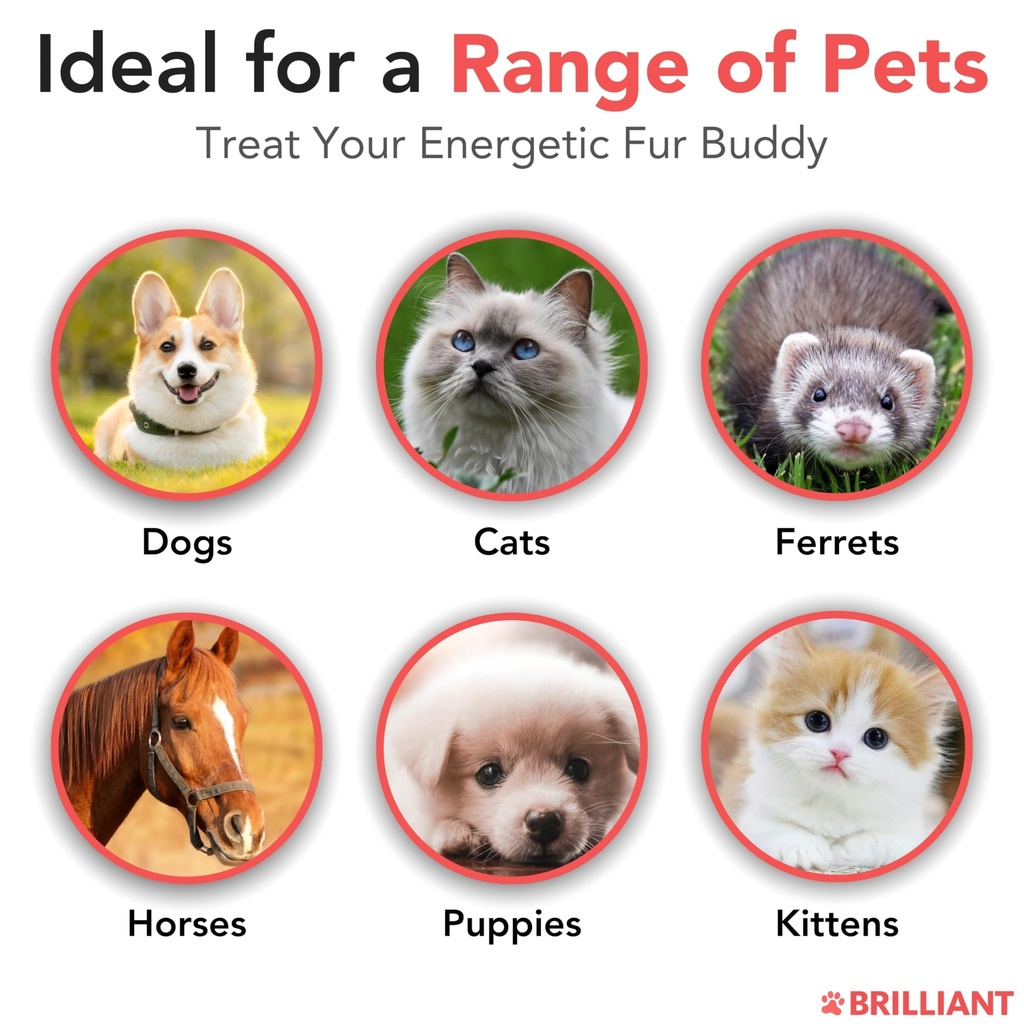 brilliant-norwegian-salmon-oil-for-dogs--4.jpg