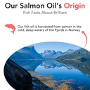 brilliant-norwegian-salmon-oil-for-dogs--6.jpg