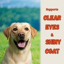 salmon-oil-for-dogs-and-cats-fish-oil-fo-4.jpg