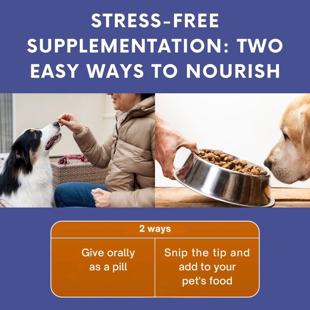 omega-3-fish-oil-for-dogs-cats-dog-prena-6.jpg