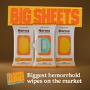 norms-big-sheets-xl-hemorrhoid-wipes-wit-2.jpg