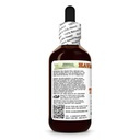 milk-thistle-silybum-marianum-dry-seed-g-3.jpg