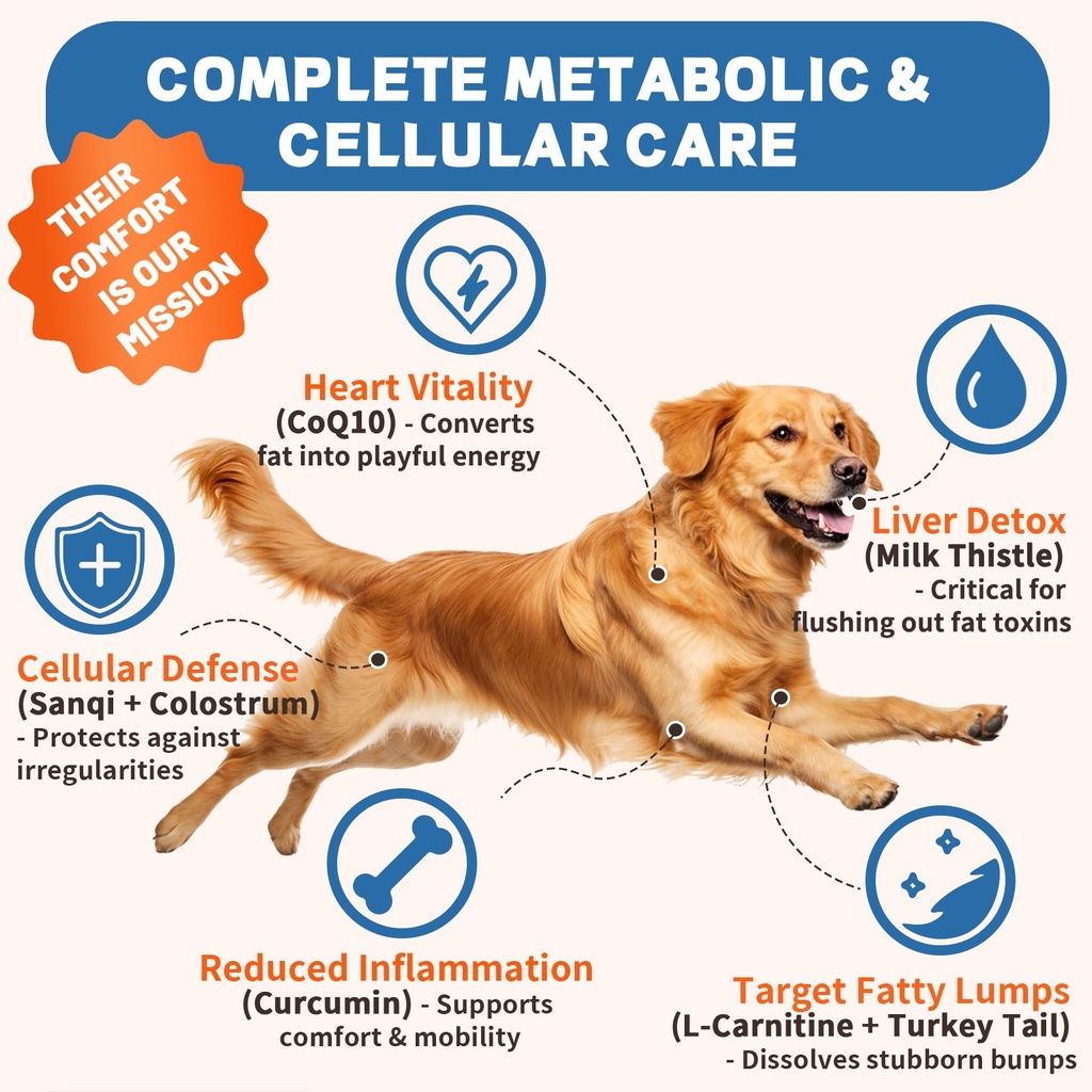 lipoma-treatment-for-dogs-l-carnitine-op-4.jpg