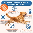 lipoma-treatment-for-dogs-l-carnitine-op-4.jpg