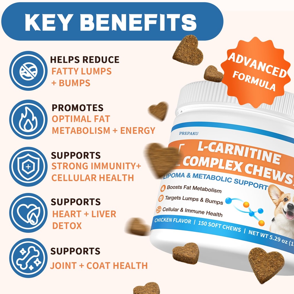 lipoma-treatment-for-dogs-l-carnitine-op-2.jpg