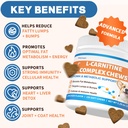 lipoma-treatment-for-dogs-l-carnitine-op-2.jpg