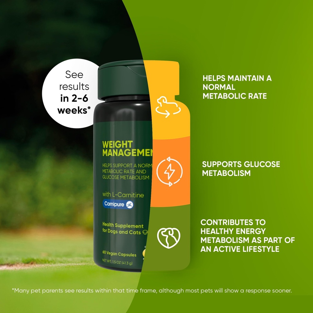 rooted-owl-healthy-weight-energy-metabol-3.jpg