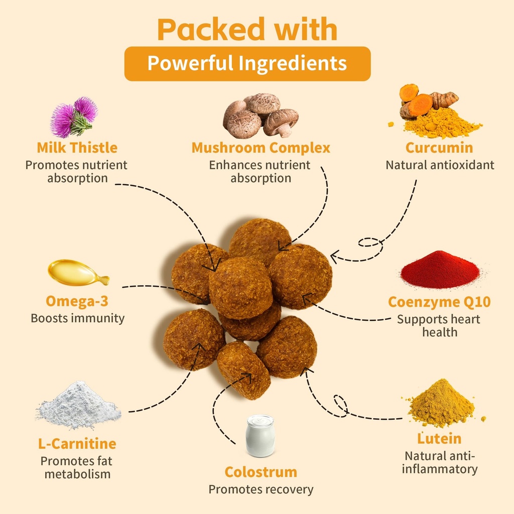lipoma-treatment-for-dogs-l-carnitine-he-3.jpg