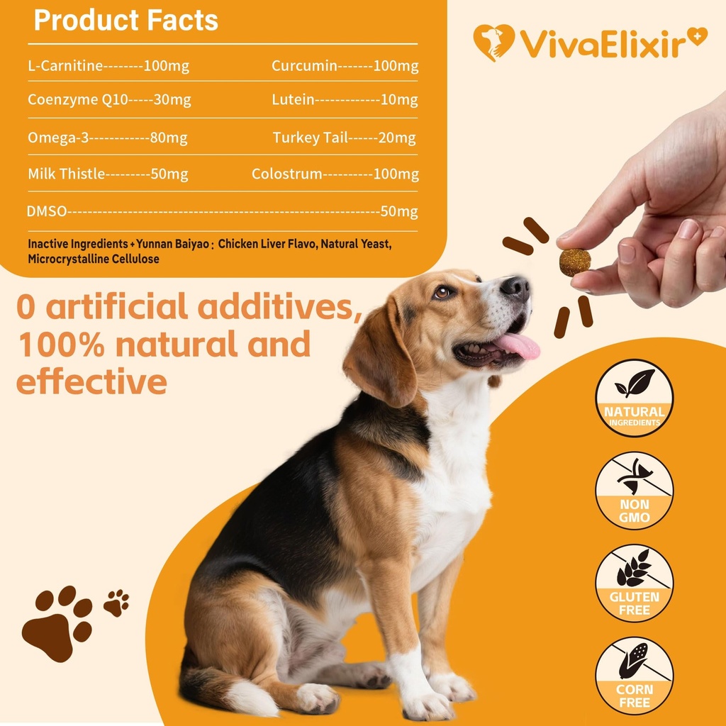 lipoma-treatment-for-dogs-l-carnitine-he-5.jpg