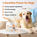 dog-lipoma-treatment-l-carnitine-supplem-3.jpg