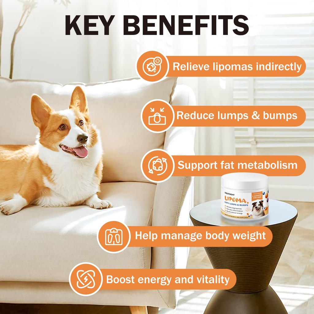 dog-lipoma-treatment-l-carnitine-supplem-2.jpg