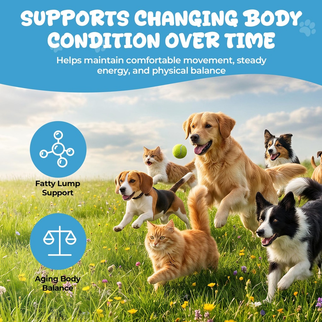 lipoma-treatment-for-dogs-cats-fatty-lum-5.jpg