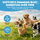 lipoma-treatment-for-dogs-cats-fatty-lum-5.jpg