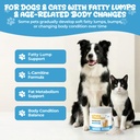 lipoma-treatment-for-dogs-cats-fatty-lum-2.jpg