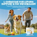 lipoma-treatment-for-dogs-cats-fatty-lum-4.jpg
