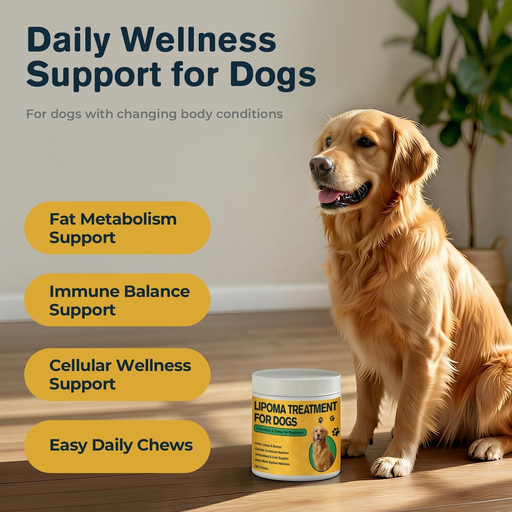 lipoma-treatment-for-dogs-l-carnitine-mu-2.jpg