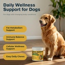 lipoma-treatment-for-dogs-l-carnitine-mu-2.jpg