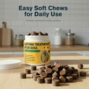 lipoma-treatment-for-dogs-l-carnitine-mu-4.jpg