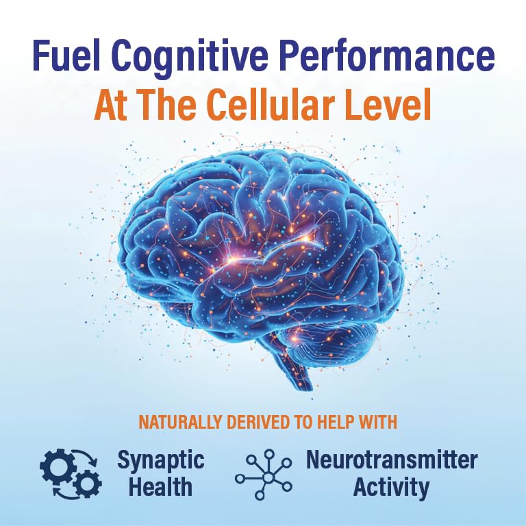 memory-focus-supplement-clinically-studi-3.jpg
