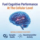 memory-focus-supplement-clinically-studi-3.jpg