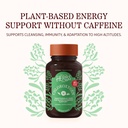 herbs-etc-chloroxygen-chlorophyll-concen-2.jpg