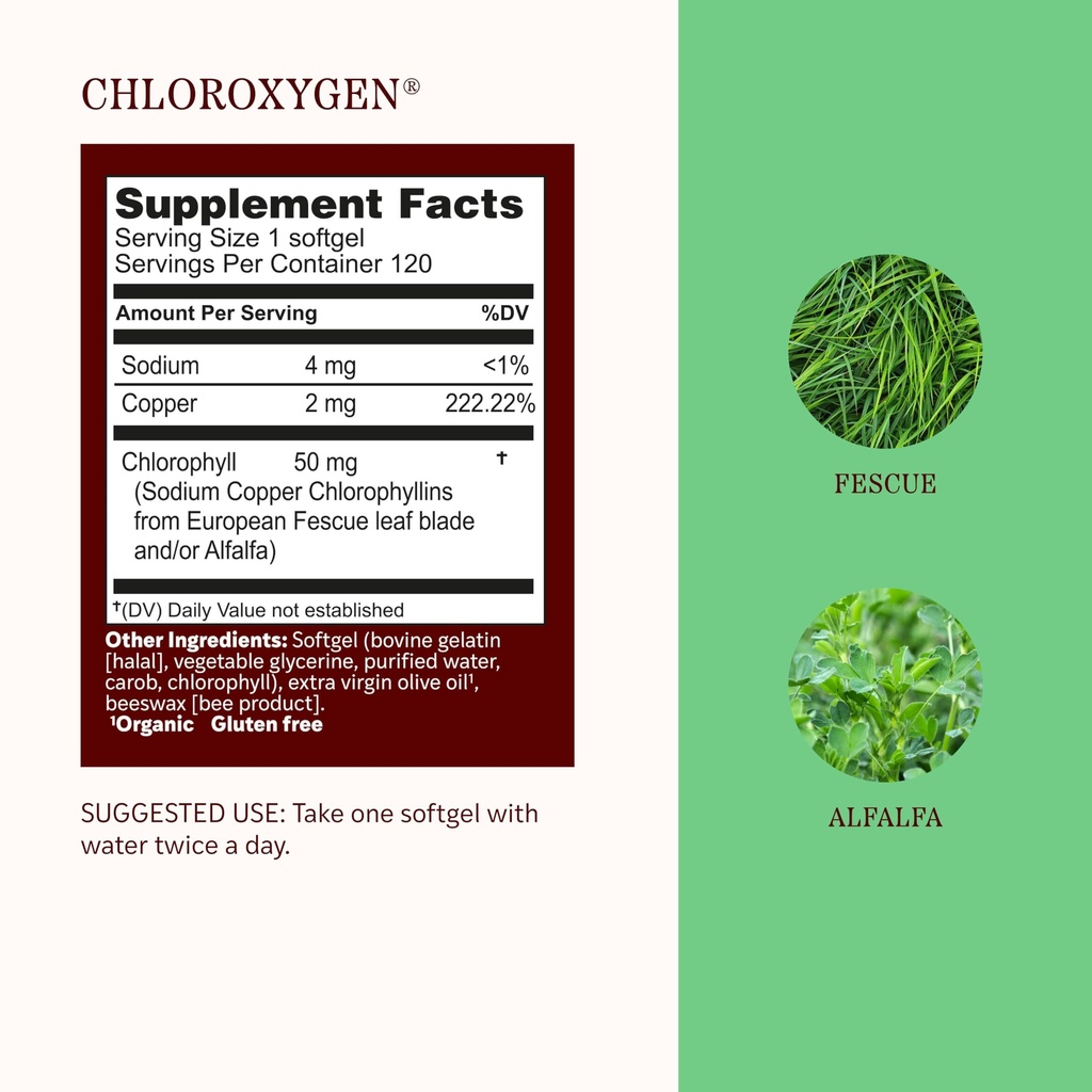 herbs-etc-chloroxygen-chlorophyll-concen-3.jpg