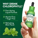 nature-s-truth-liquid-chlorophyll-drops--3.jpg