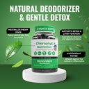 benevolent-premium-chlorophyll-gummies-v-4.jpg